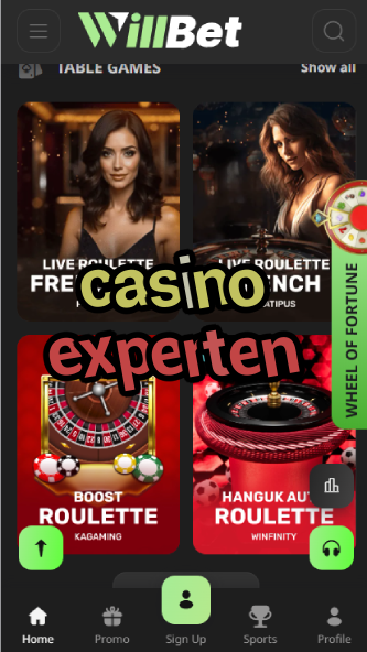Casino Experten - German Casino Experts Advice-casinoorder.vip