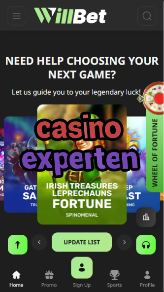 Casino Experten - German Casino Experts Advice-casinoorder.vip